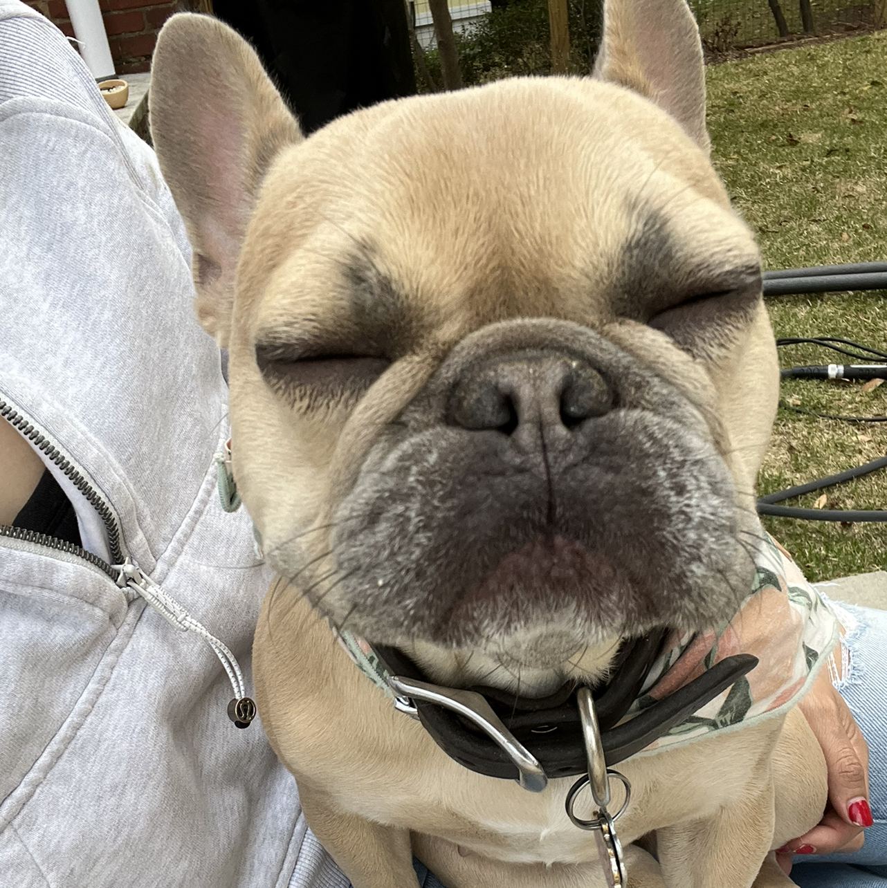 Avatar for @Artjungle on Greg, the plant care app