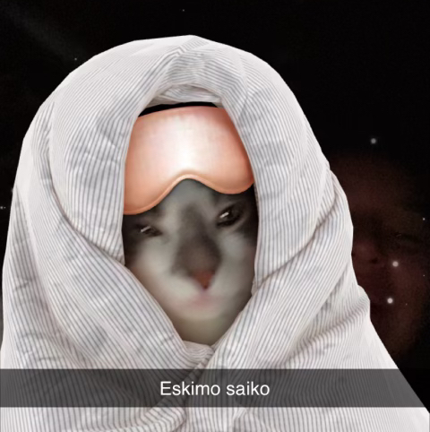 @smolbbplantmama avatar