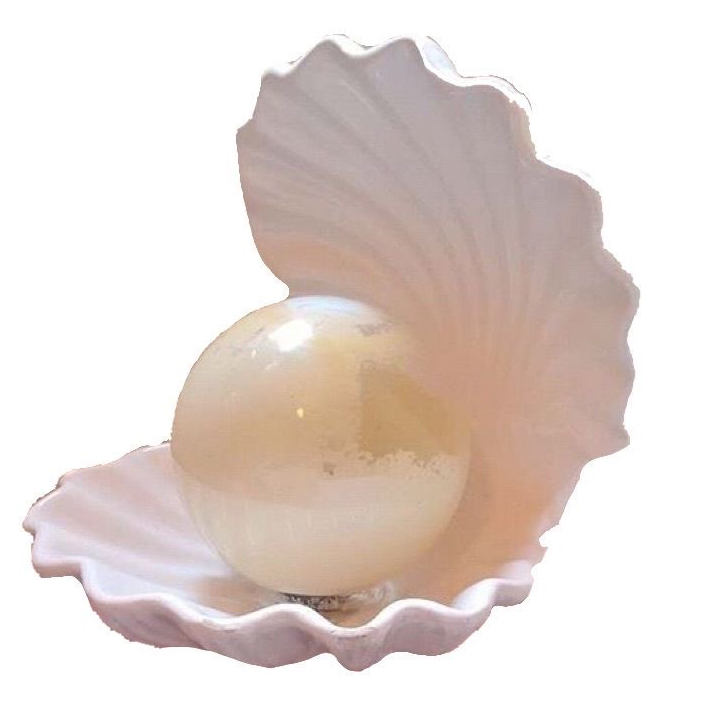 @SeaPearl avatar