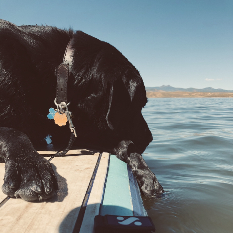 Avatar for @HappyEnchilada on Greg, the plant care app