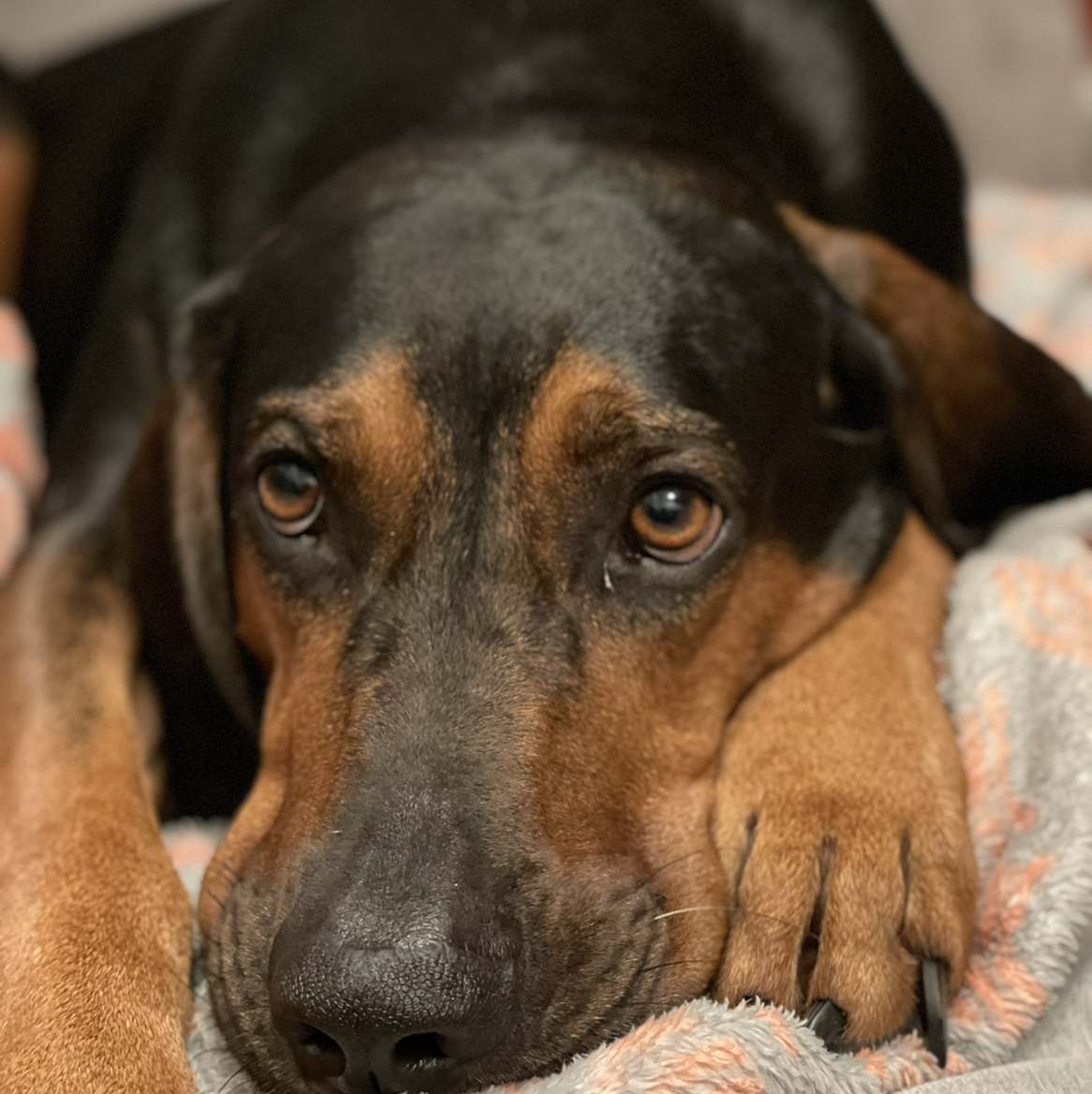 Avatar for @gregandjudyfam on Greg, the plant care app