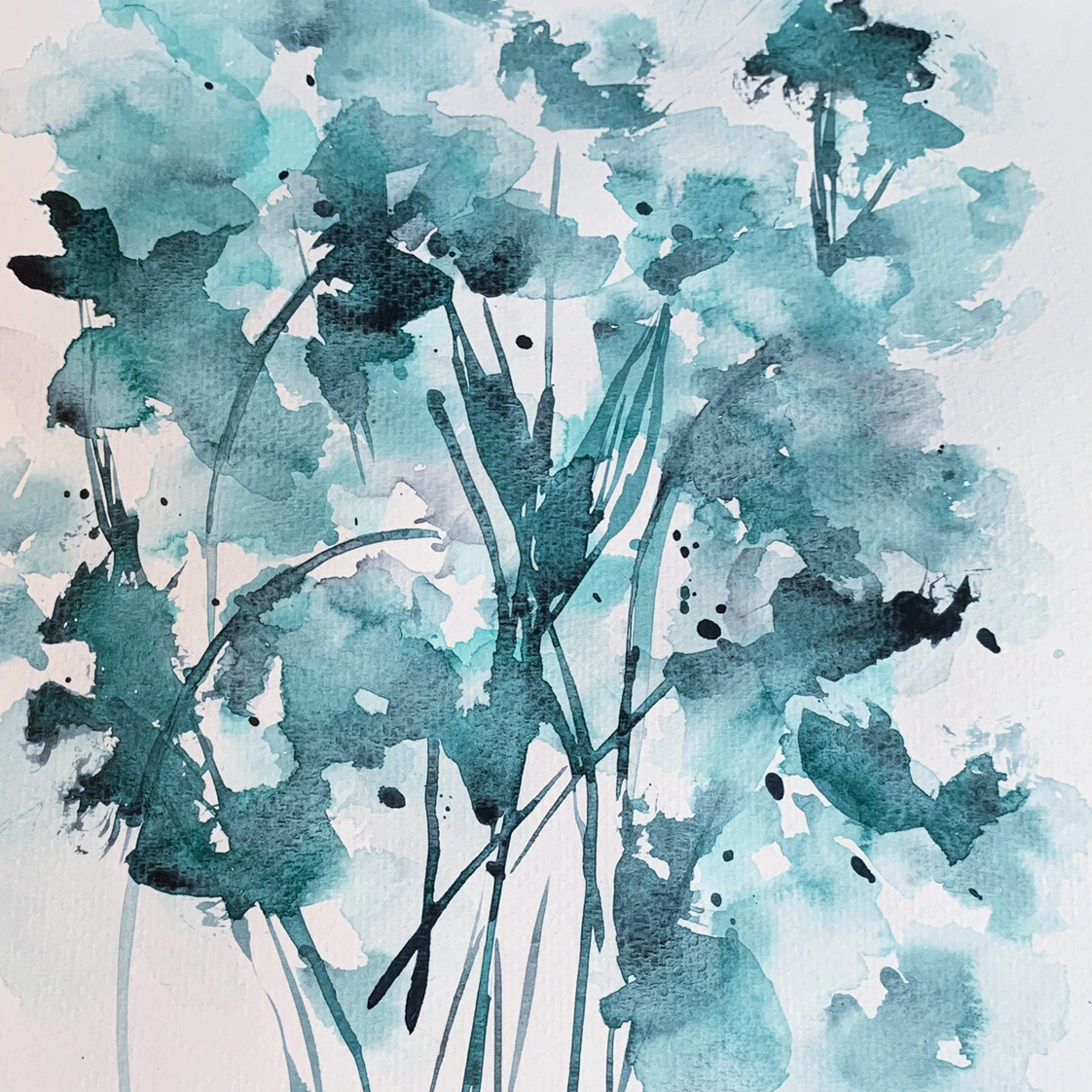@plantsandmood