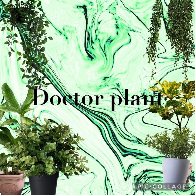 @DrplantzX avatar