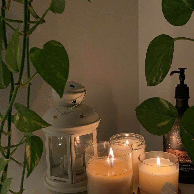 Avatar for @plantasticplant on Greg, the plant care app