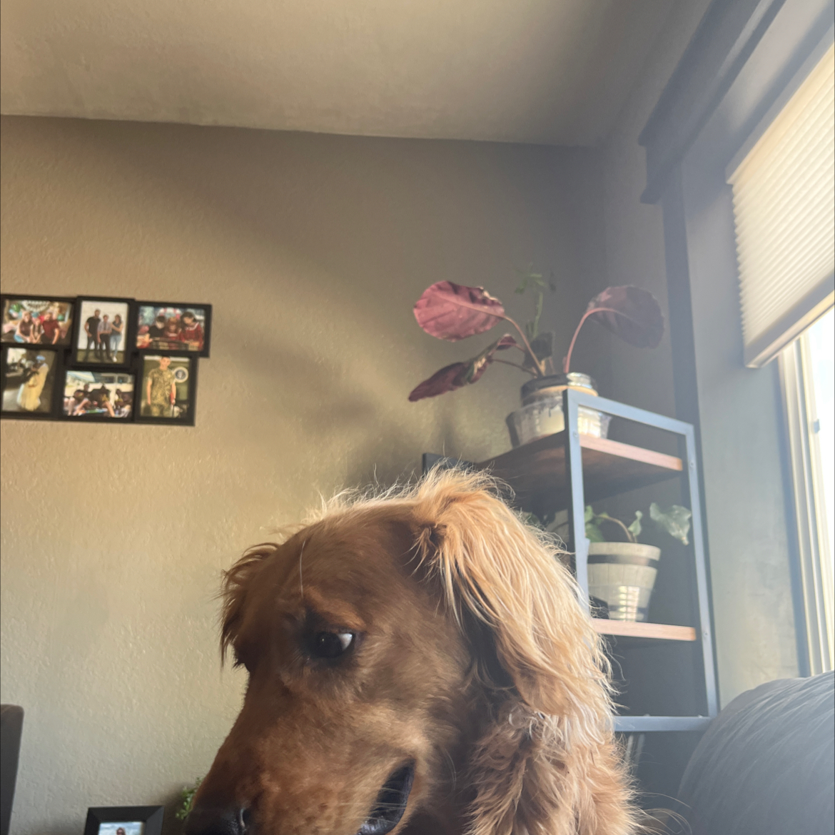 @Flowerpower0303 avatar