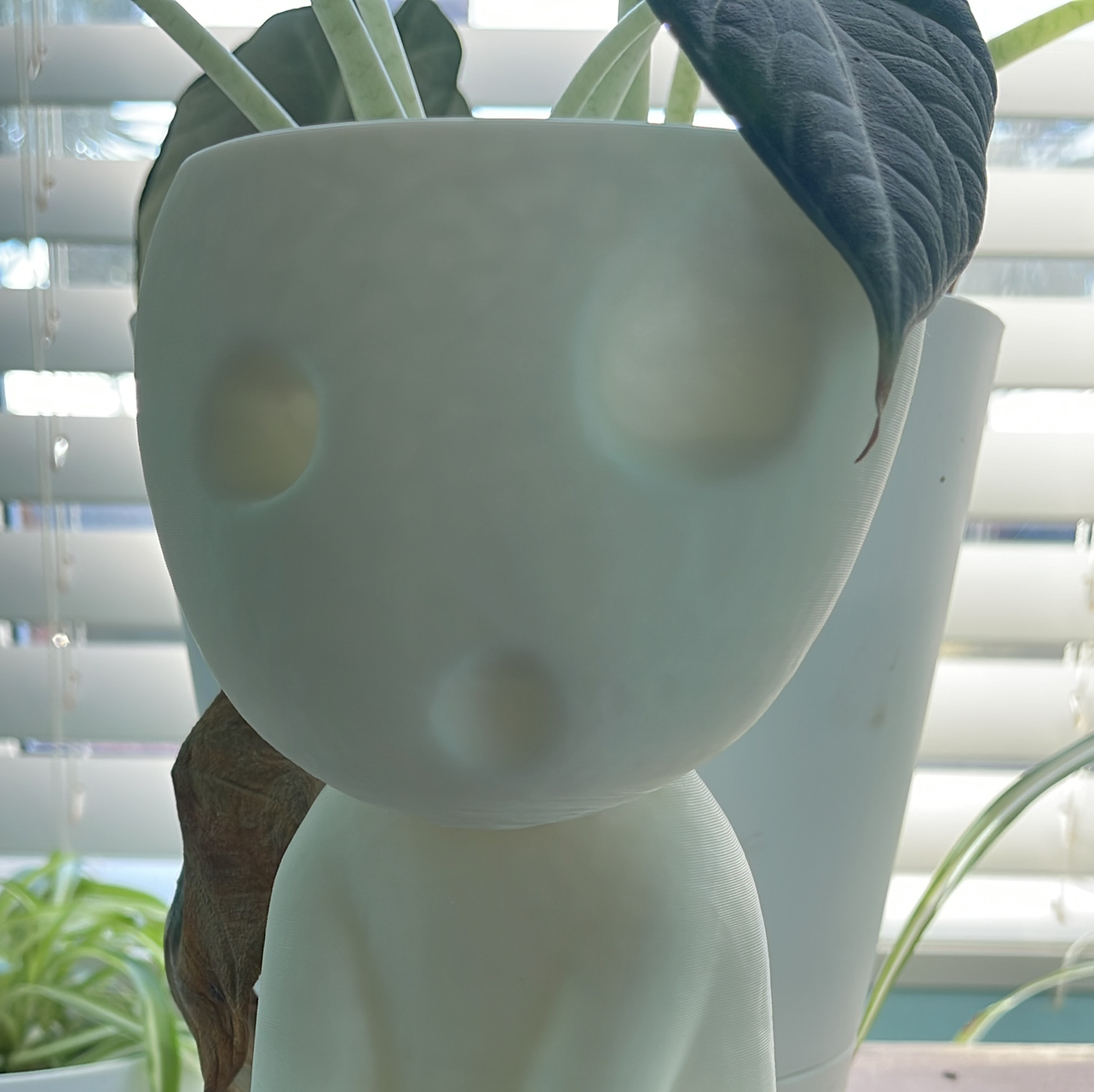 Avatar for 👻 on Greg, the plant care app