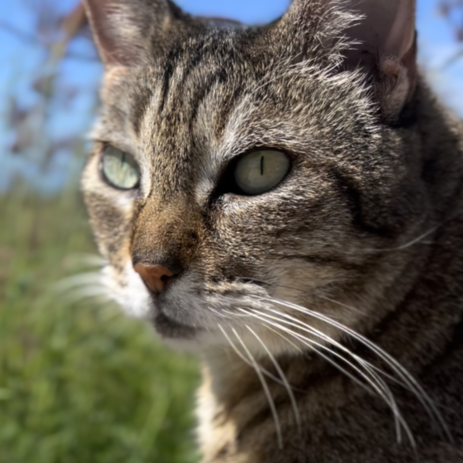 Avatar for @fishribs on Greg, the plant care app