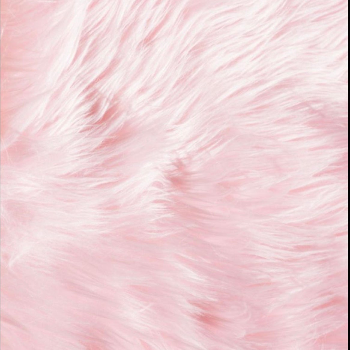 @liberalbadbtch avatar