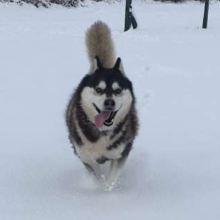 Avatar for @Nickisswag on Greg, the plant care app