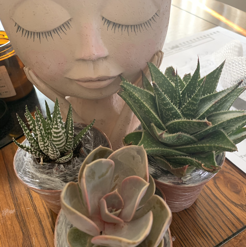 @AnewSainfoin avatar