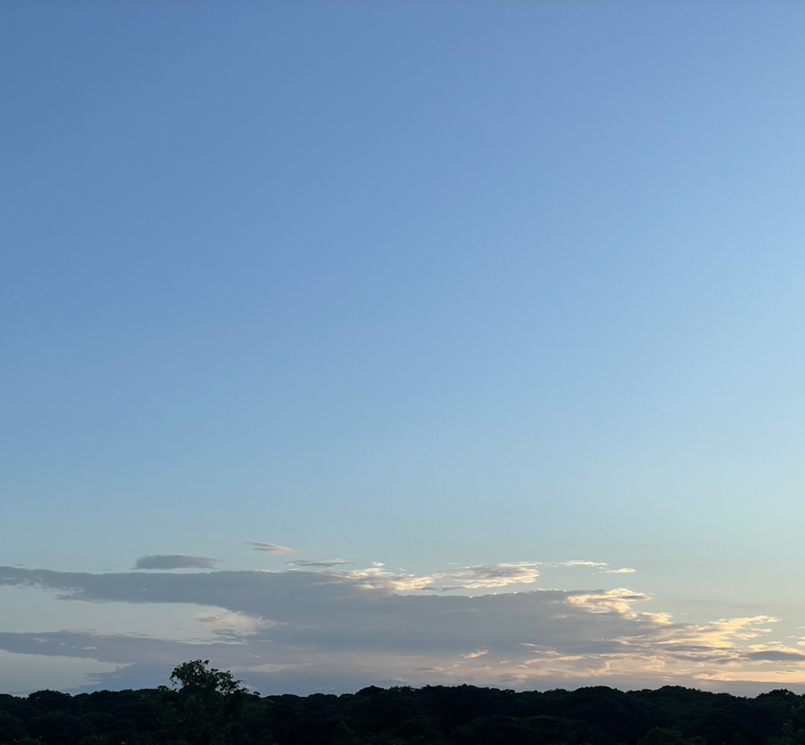 @lividjellyfish avatar