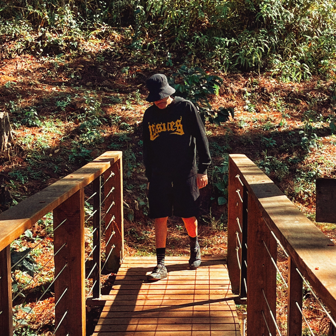 @sanssouci.rd avatar