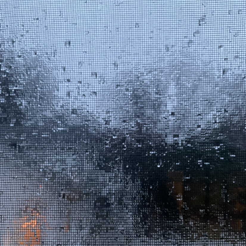 @PeacefulPlants avatar