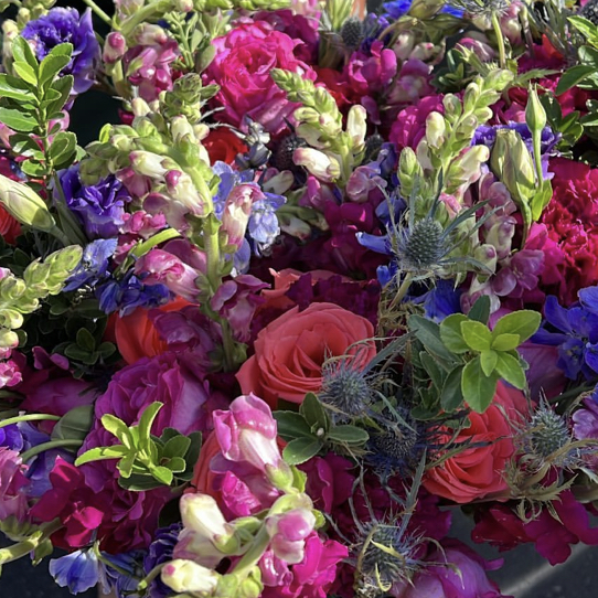 Avatar for @Rae21 on Greg, the plant care app