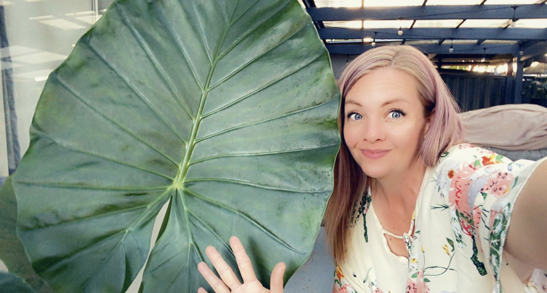 Avatar for @Kacie on Greg, the plant care app