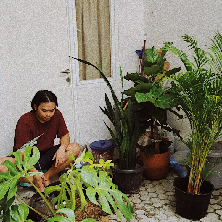 Avatar for @wndprtm on Greg, the plant care app