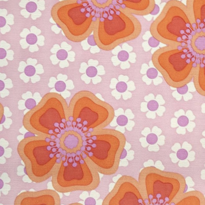 @SophieHasPlants avatar