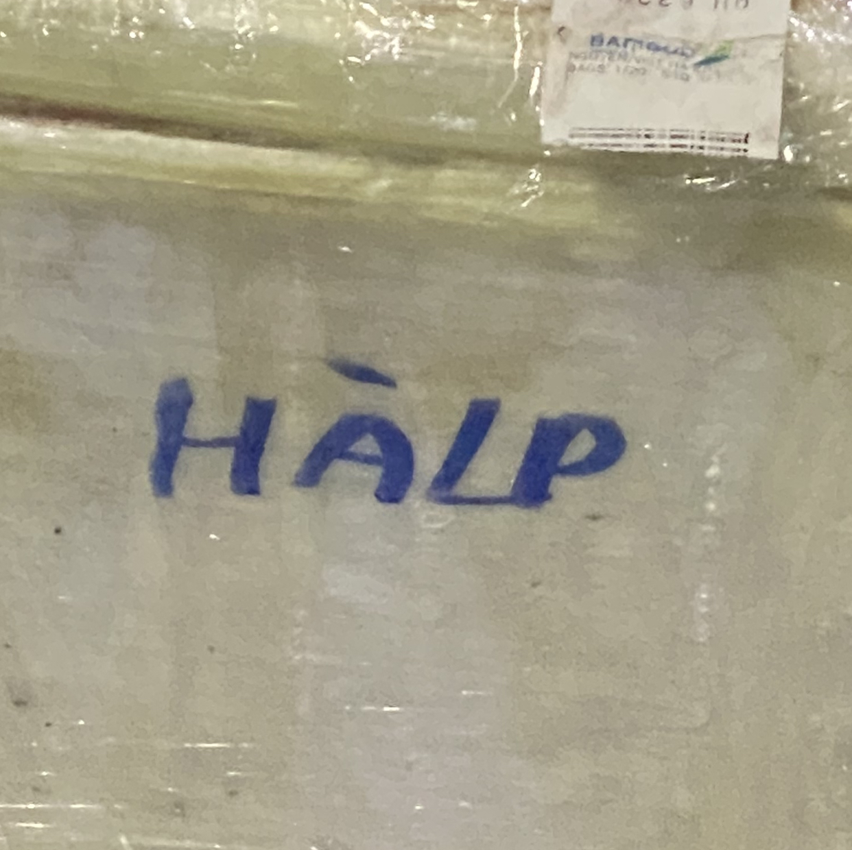 Avatar for @PP.PlantRant on Greg, the plant care app