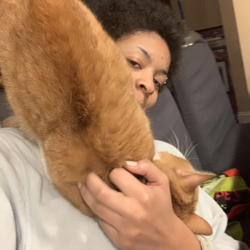 @nomoredeadplant avatar