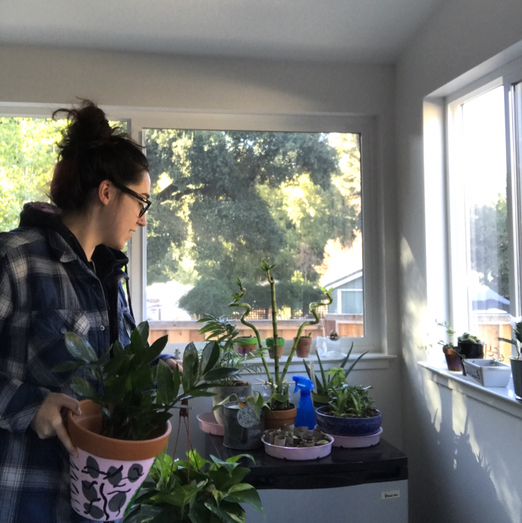 Avatar for @emhack on Greg, the plant care app