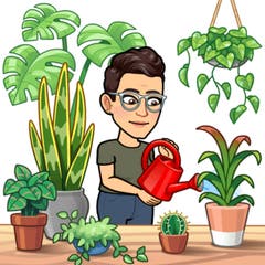 Plantmompy avatar