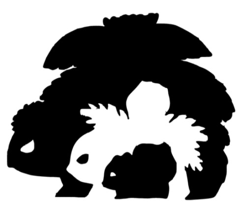 Avatar for @bigplantdad on Greg, the plant care app