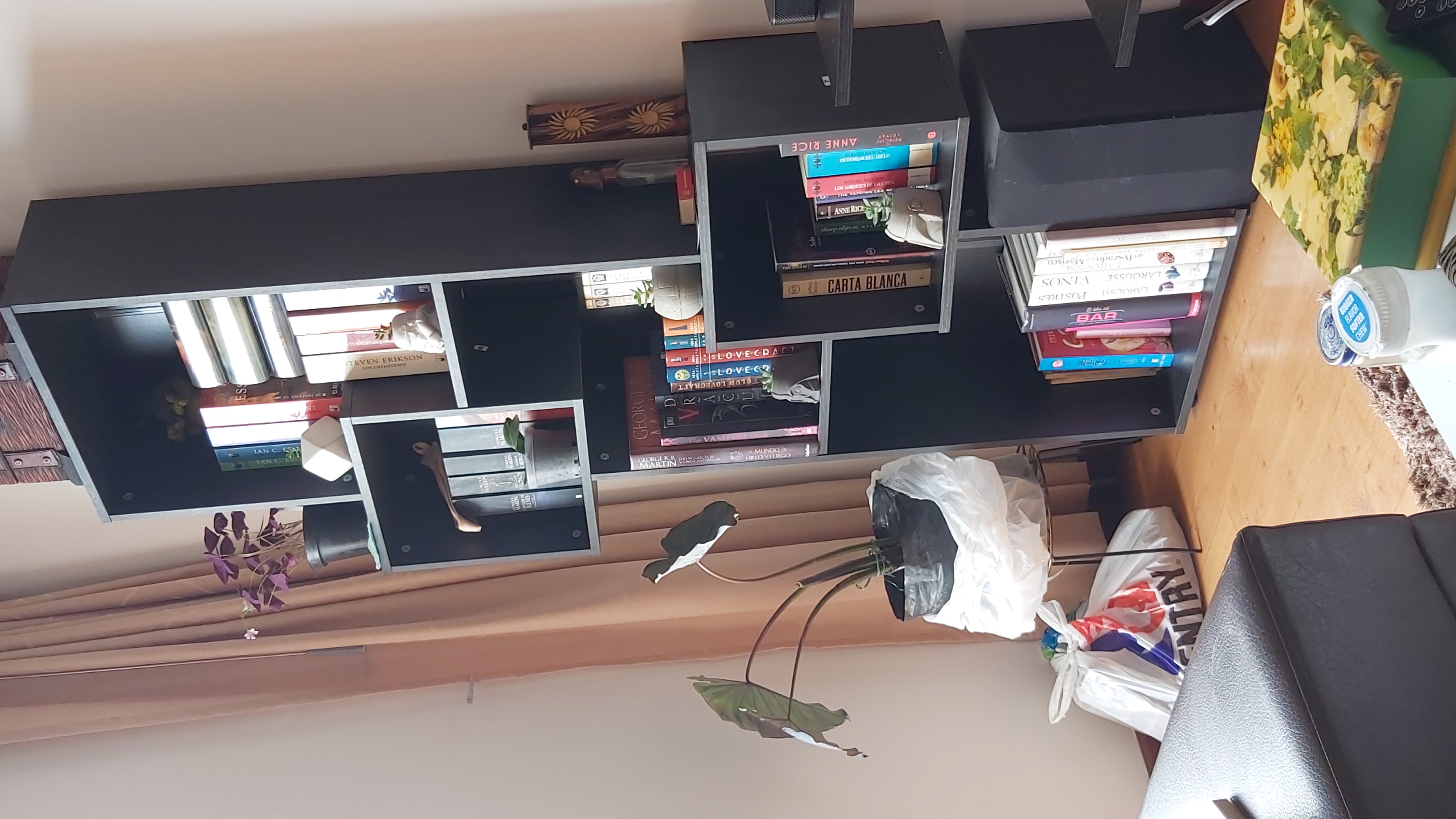 Avatar for @VeroniqueVamp on Greg, the plant care app