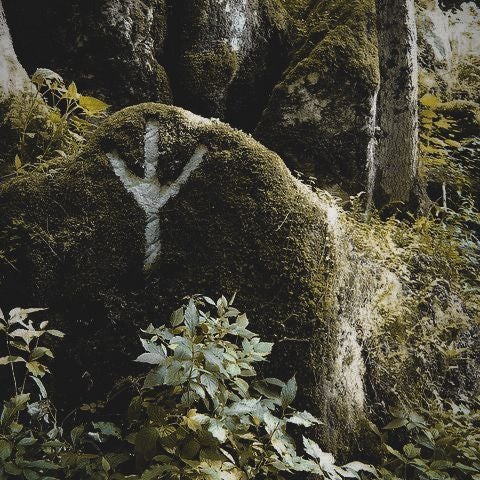 @WildlingWitch avatar