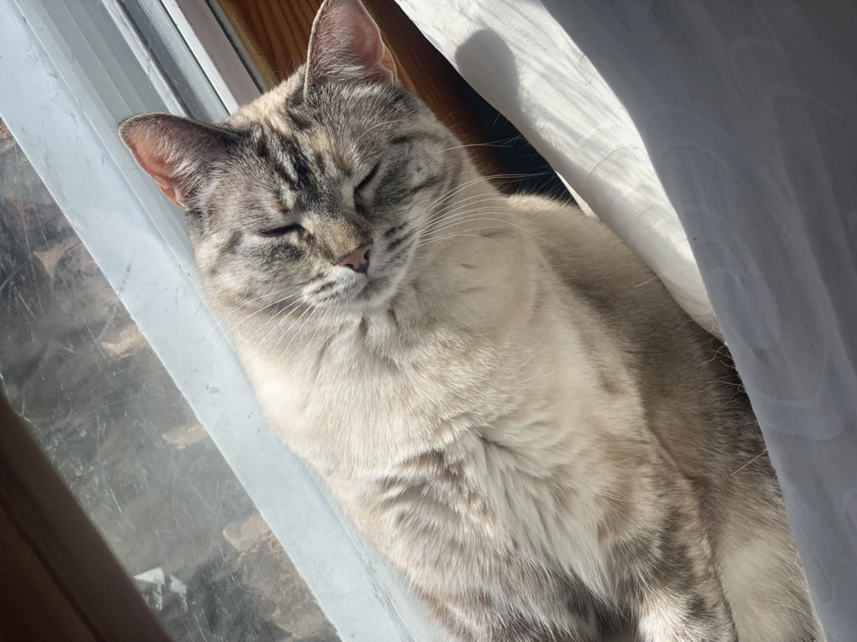 @TherapyHobby avatar