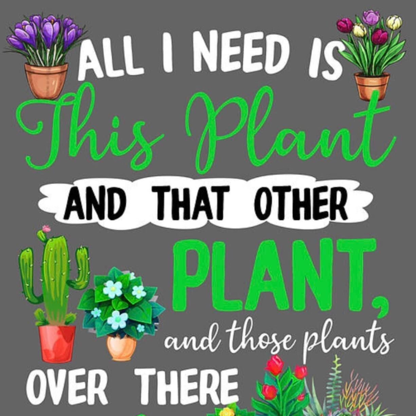 Avatar for @NicolesOasis on Greg, the plant care app
