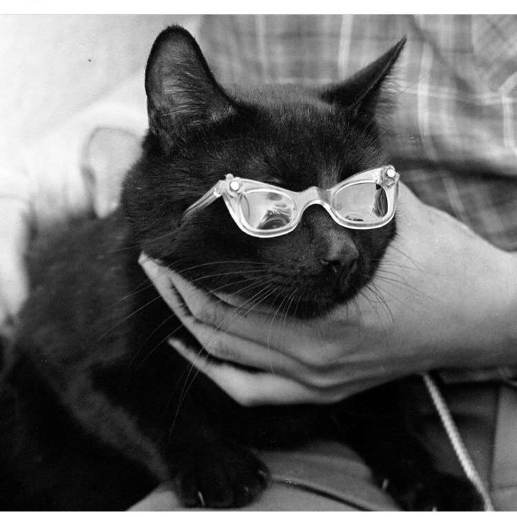 @HistoricalBotanist avatar