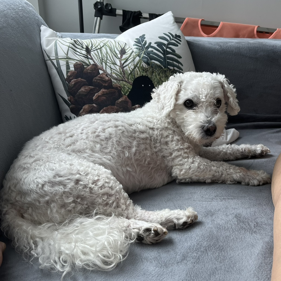 Avatar for @Lila61 on Greg, the plant care app