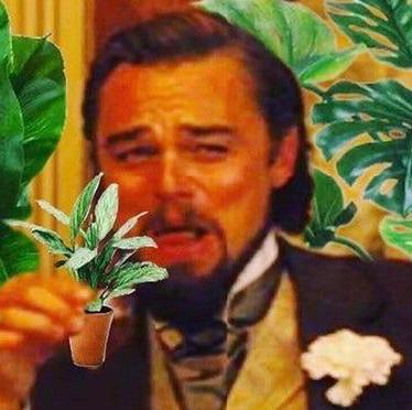 Avatar for @PlantitaMom on Greg, the plant care app