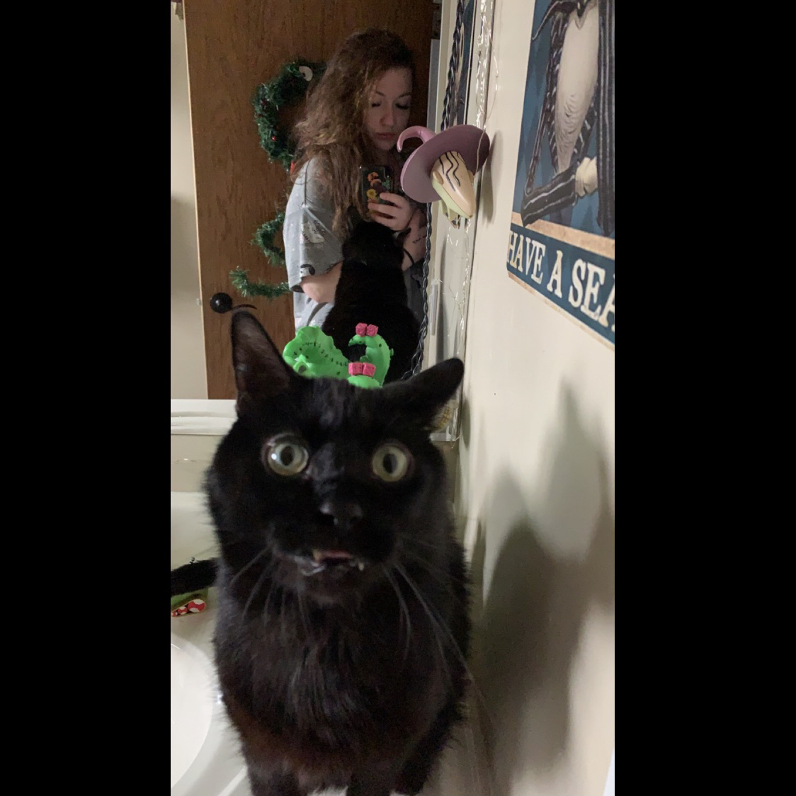 Avatar for @CanIGetAHoya on Greg, the plant care app