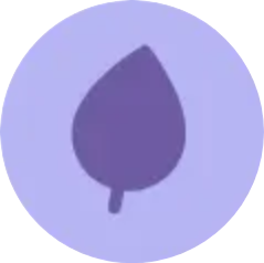 @MyrskyCeleste avatar