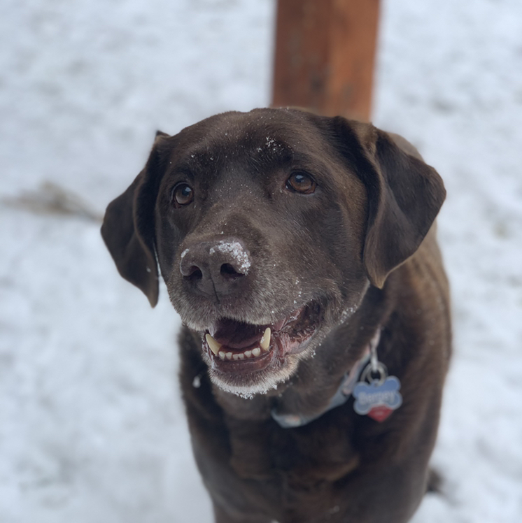 Avatar for @macandcheese on Greg, the plant care app