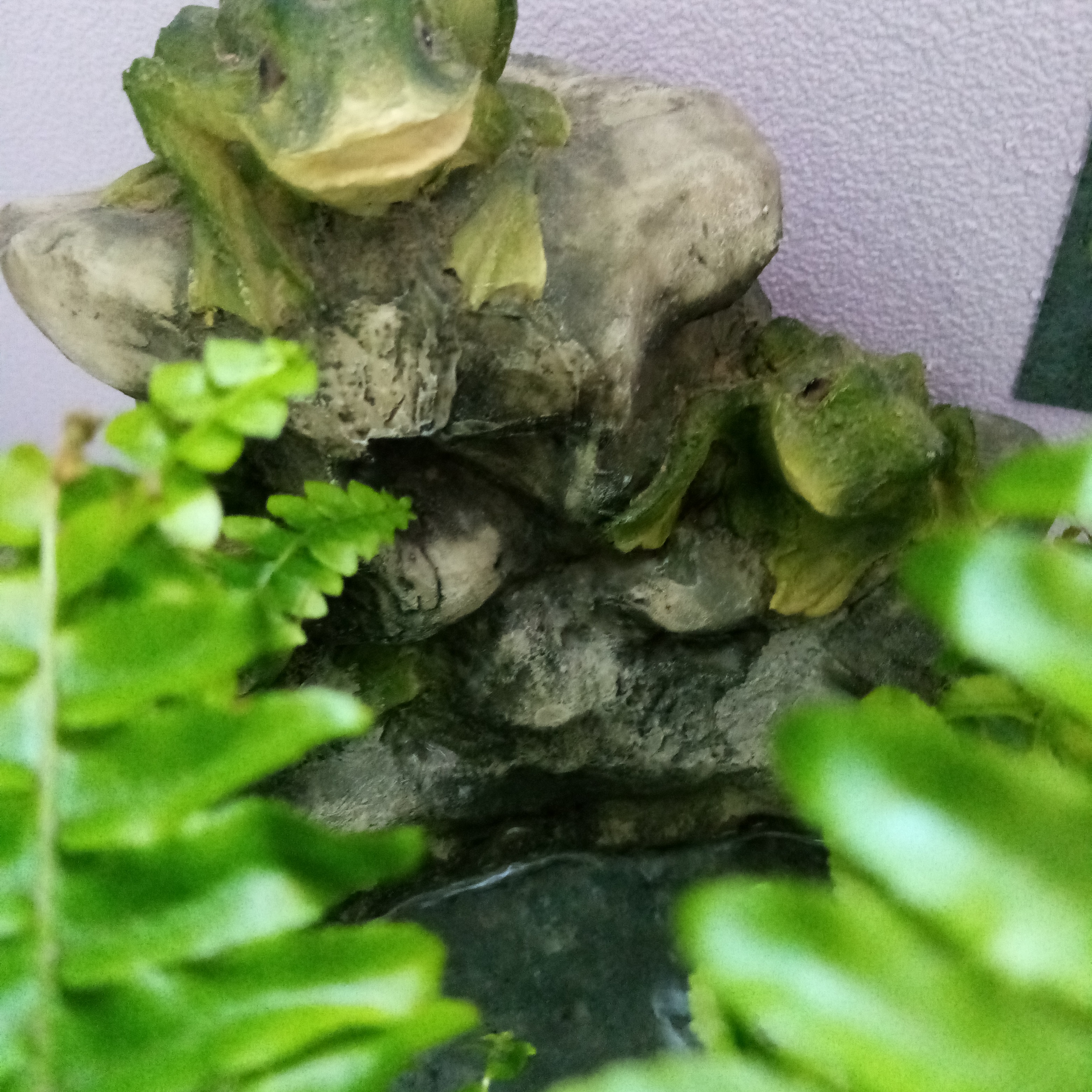 @HomeForest