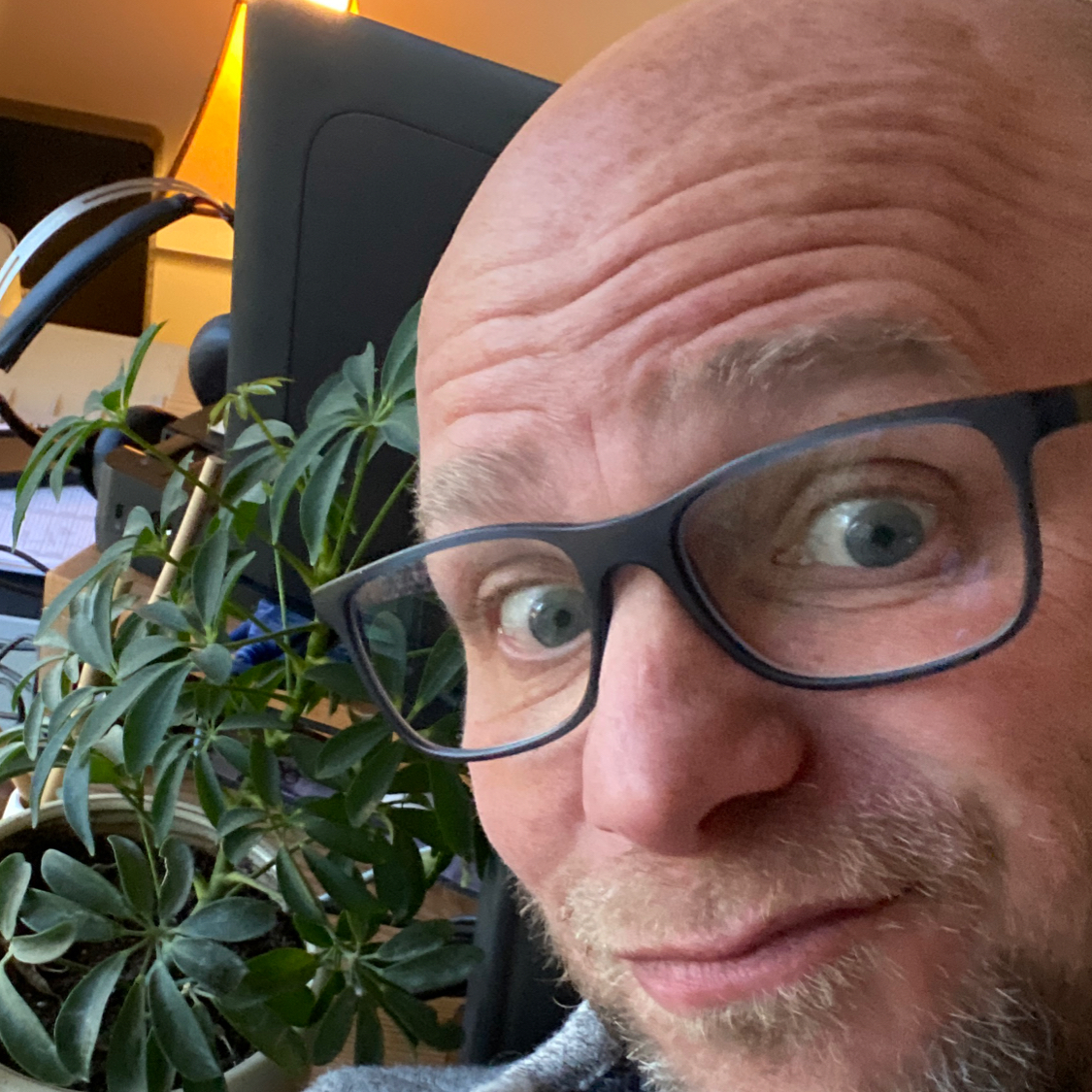 Avatar for @Cocacam on Greg, the plant care app