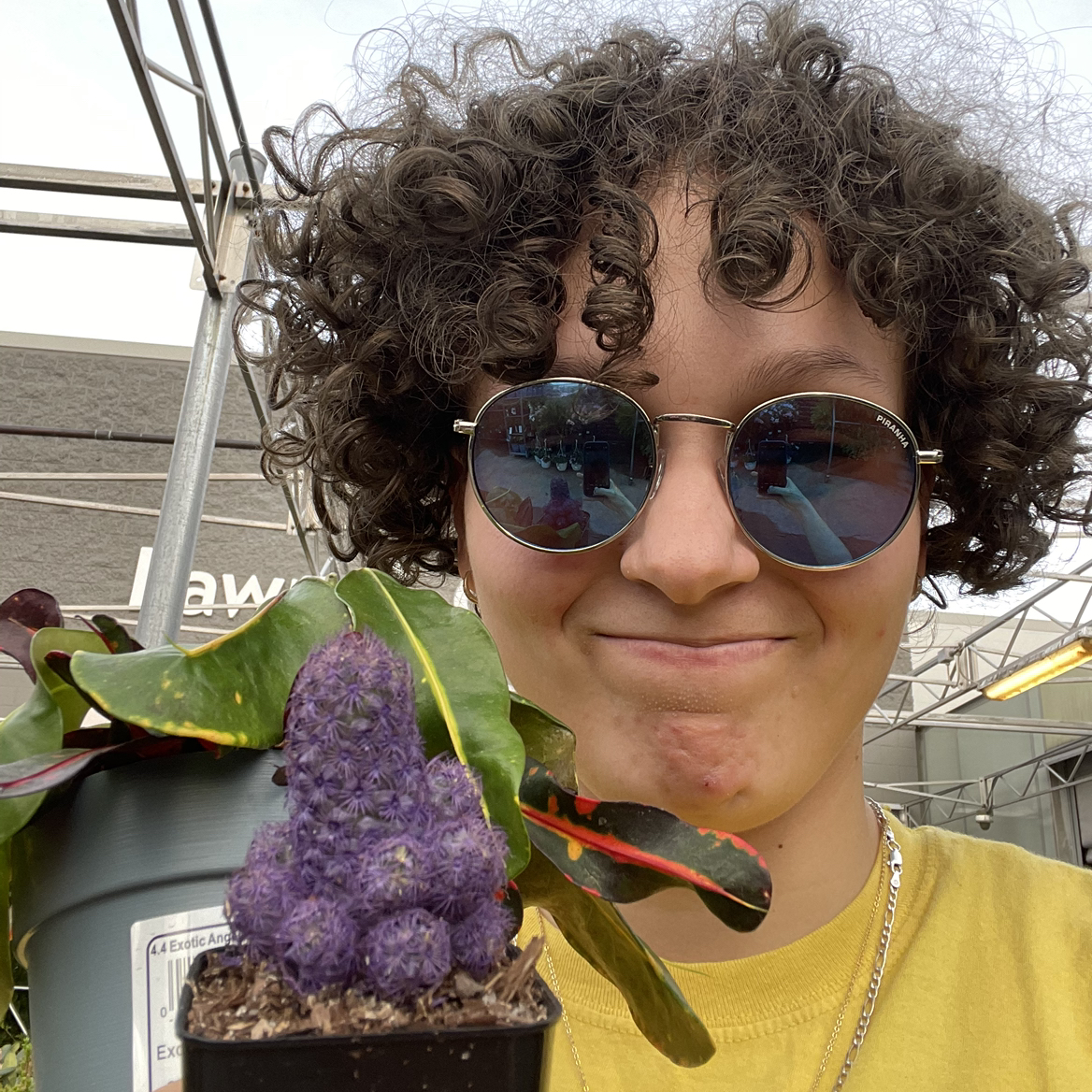 Avatar for @des_24 on Greg, the plant care app