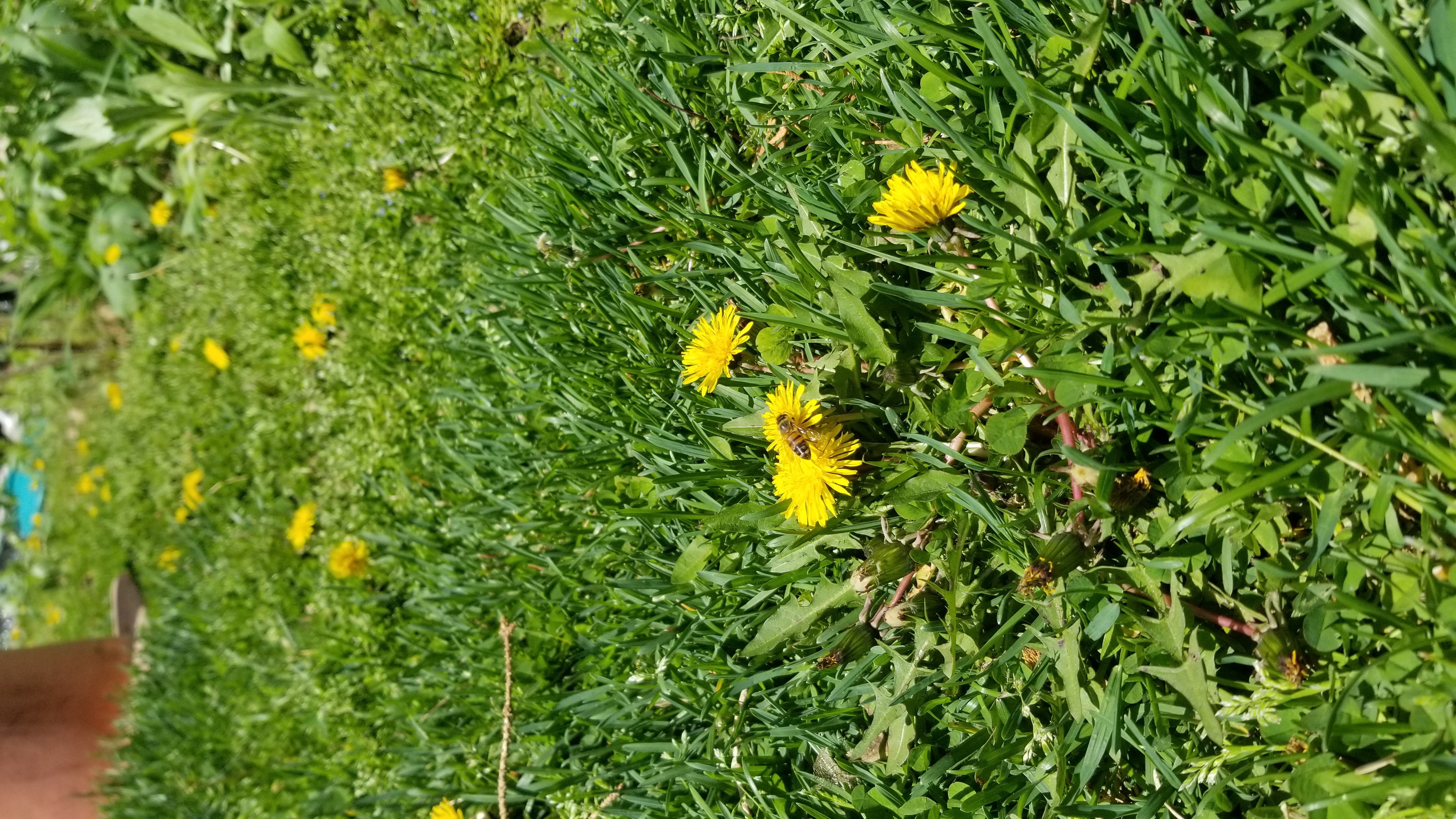 Avatar for @WithMyPinkTree on Greg, the plant care app