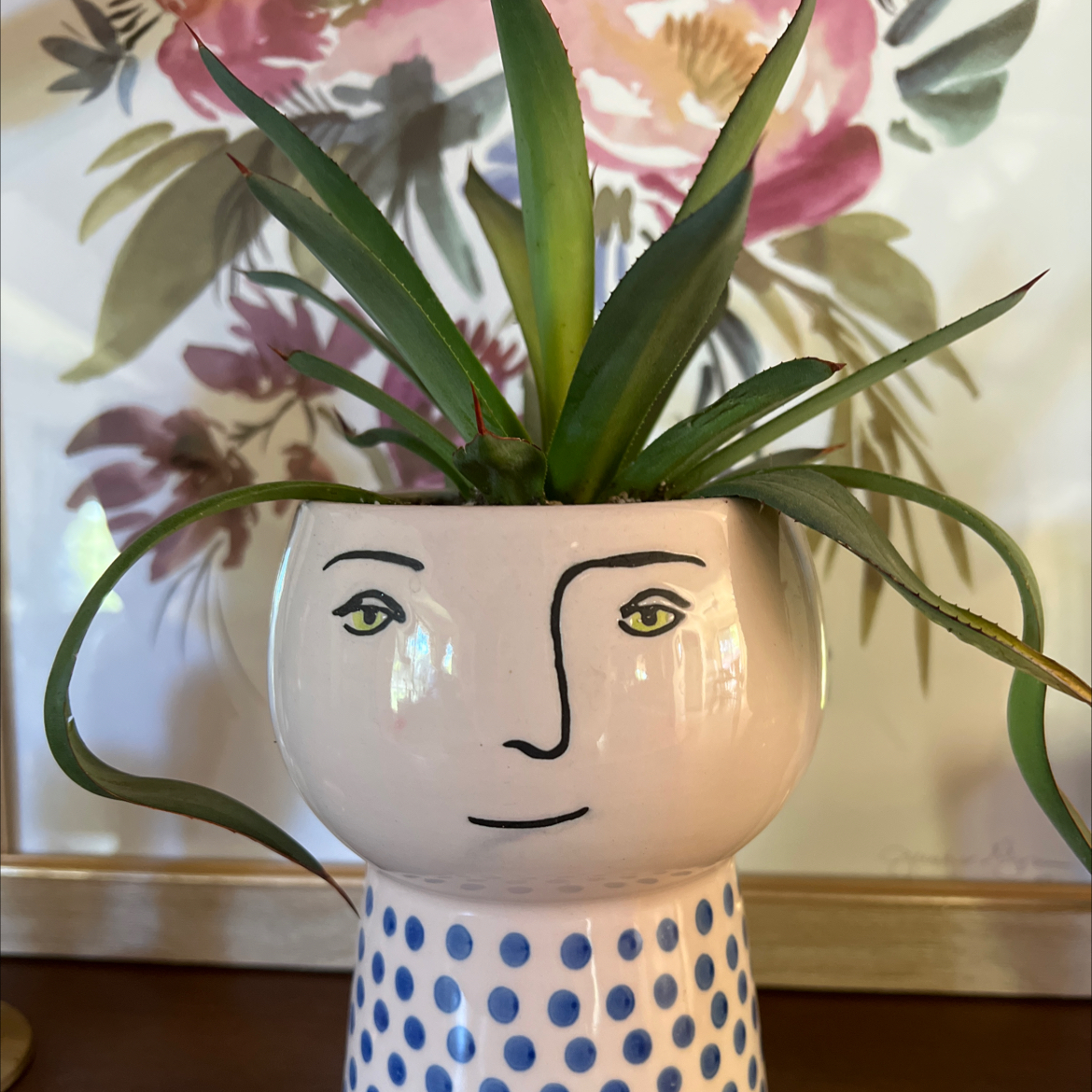 Avatar for @CDubGreen on Greg, the plant care app