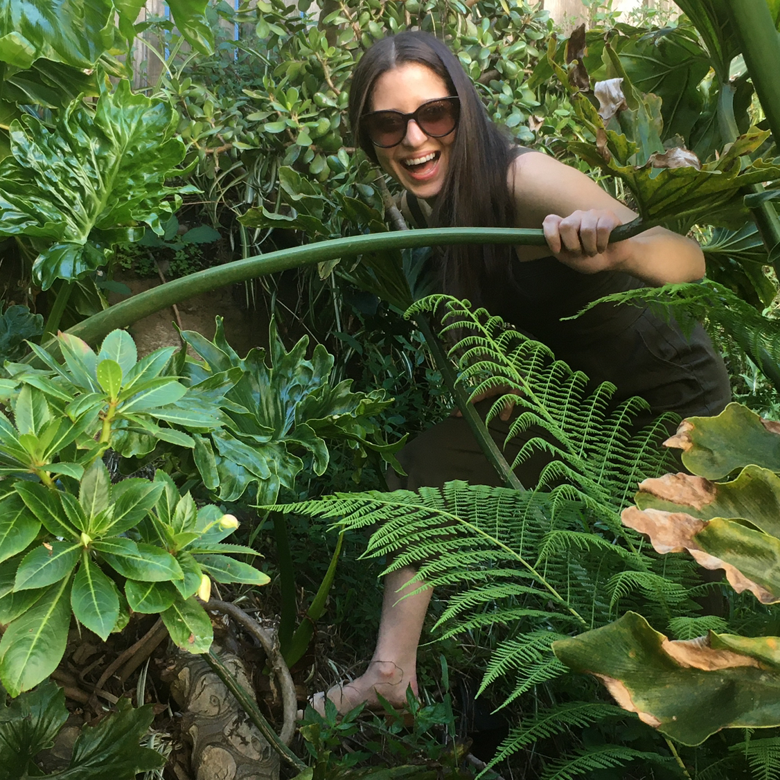 Avatar for @vee_vargas on Greg, the plant care app