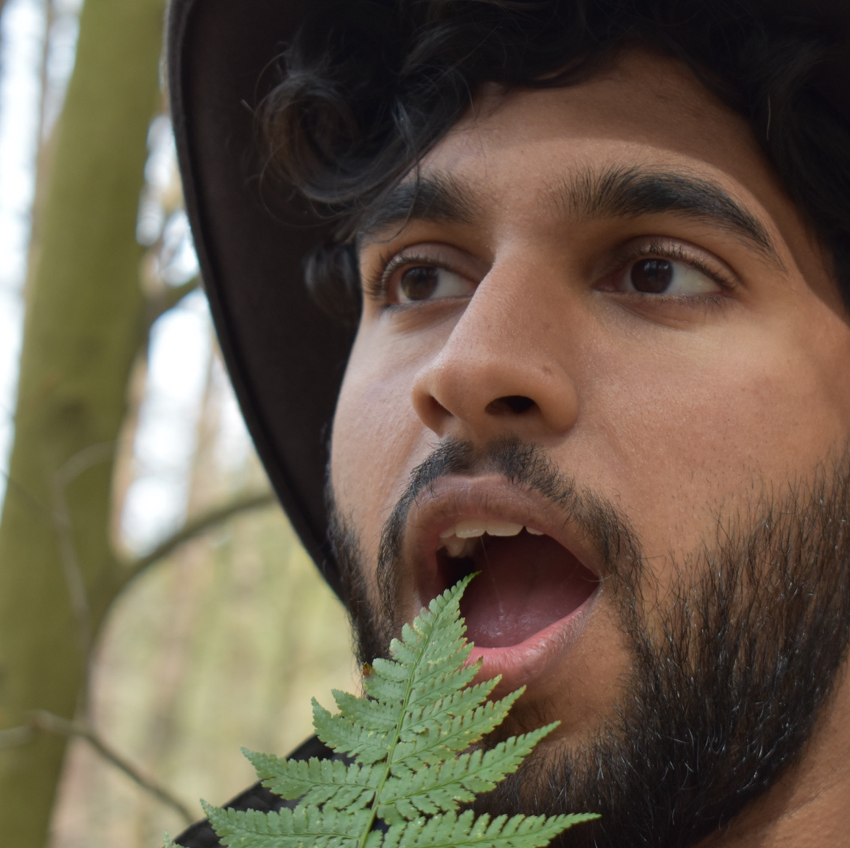 Avatar for @Anupalm on Greg, the plant care app