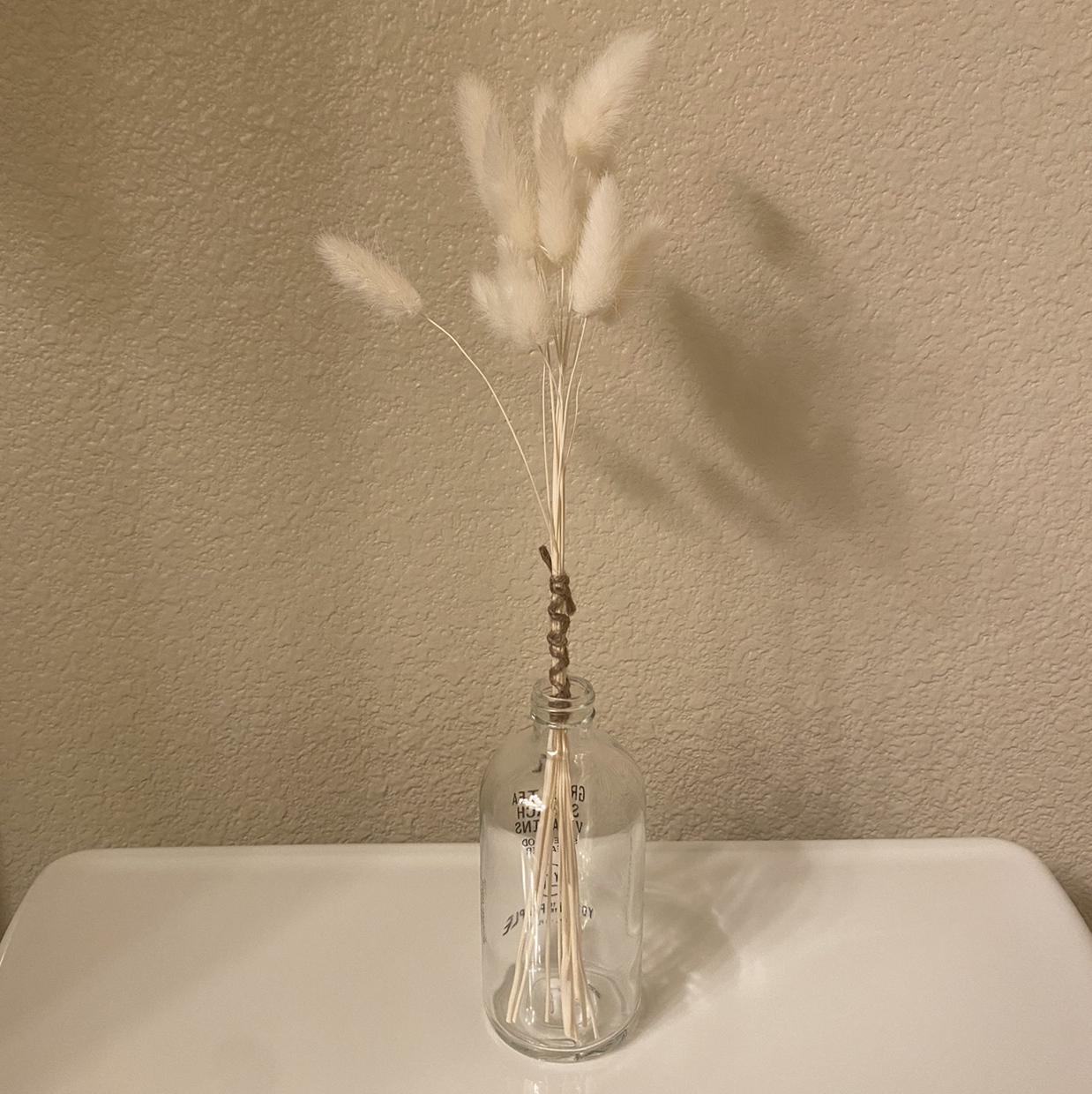 Avatar for @1022charlotte on Greg, the plant care app