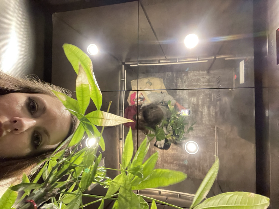 Avatar for @chartreusewahoo on Greg, the plant care app