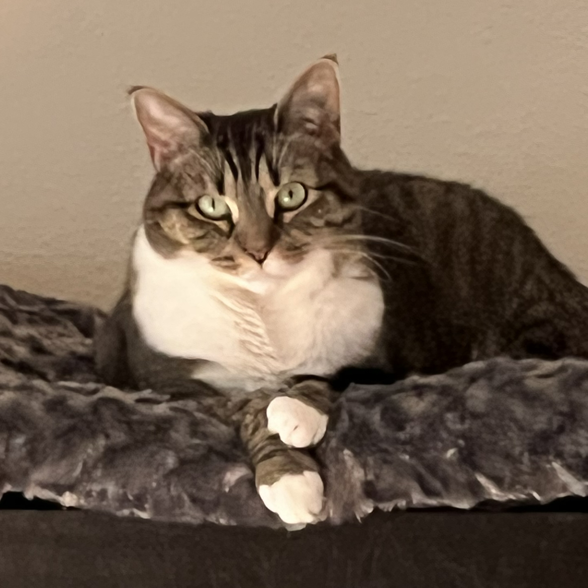 Avatar for @swhite1923 on Greg, the plant care app