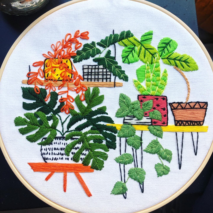 Avatar for @Mm1995 on Greg, the plant care app