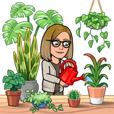 Avatar for @Lorsterra on Greg, the plant care app