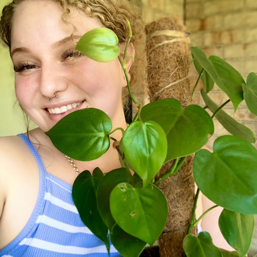@Bonniesfriendsareplants avatar