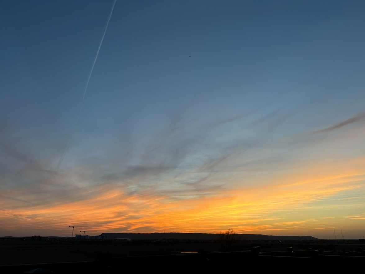 Avatar for @dcruzangelica on Greg, the plant care app